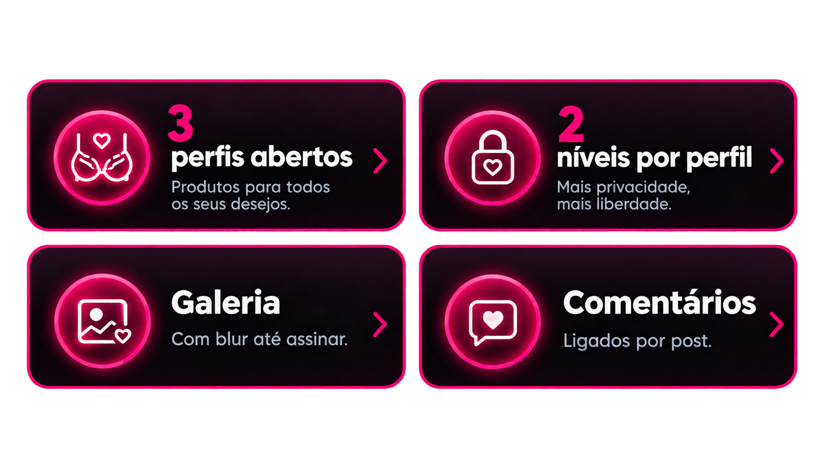 3 perfis abertos. Produtos para todos os seus desejos. 2 níveis por perfil. Mais privacidade, mais liberdade. Galeria com blur até assinar. Comentários ligados por post.